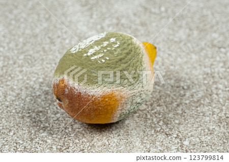 Mold on lemon, spoiled fruit, mold close-up on citrus fruit. Mold on lemon, spoiled fruit, mold close-up on citrus fruit. 123799814