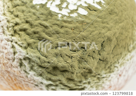 Old Lemon with Green Mold. Rotten Food Macro 123799818
