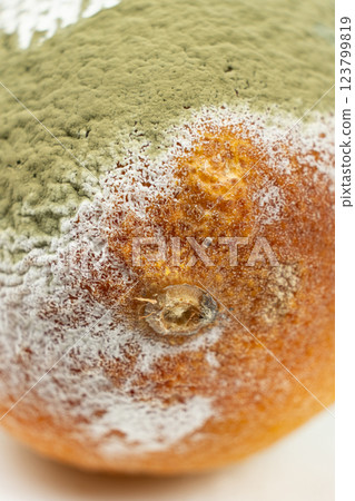 Aging and Spoiled Lemon with Mold Growth 123799819
