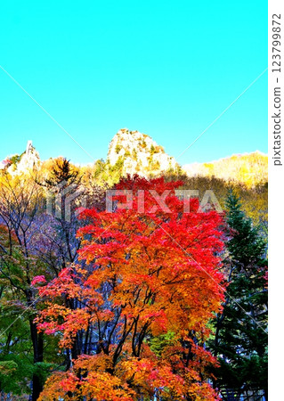 The Sounkyo Valley and autumn leaves on a clear autumn day in Hokkaido The Sounkyo Valley and autumn leaves on a clear autumn day in Hokkaido 123799872