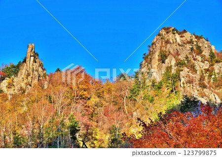 北海道晴朗秋日的層雲峽和秋葉 123799875