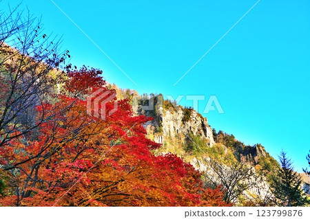 北海道晴朗秋日的層雲峽和秋葉 123799876