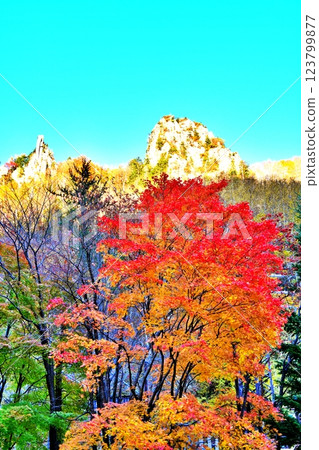 北海道晴朗秋日的層雲峽和秋葉 123799877