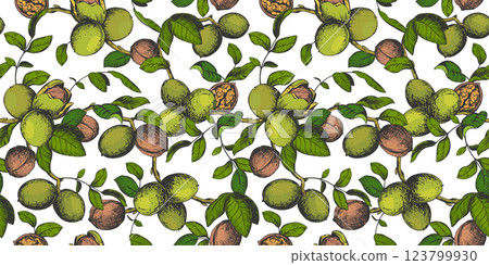 Seamless pattern of walnut branches. Vector background with kernels, leaves and nut skin. Illustration in color engraving style. Design for wallpaper, packaging, textile. Hand drawn ink sketch. Seamless pattern of walnut branches. Vector background with kernels, leaves and nut skin. Illustration in color engraving style. Design for wallpaper, packaging, textile. Hand drawn ink sketch. 123799930