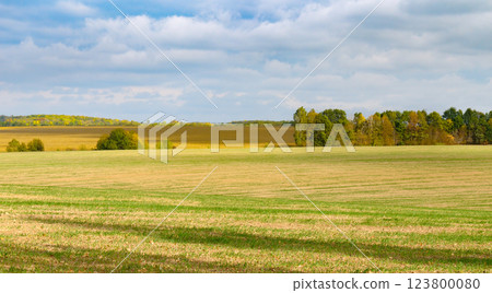 Harvested fields and meadows. rural autumn landscape. 123800080
