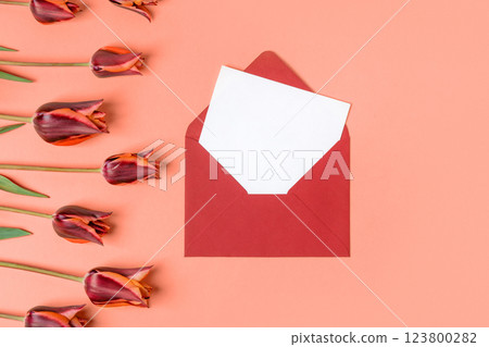 Burgundy envelope with clean white sheet of paper for your text and spring flowers burgundy tulips on red background. Invitation to the holidays. Flat lay. Burgundy envelope with clean white sheet of paper for your text and spring flowers burgundy tulips on red background. Invitation to the holidays. Flat lay. 123800282