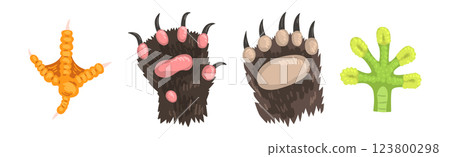 Different Animal Paw and Limb or Foot Vector Set Different Animal Paw and Limb or Foot Vector Set 123800298