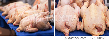 raw chicken carcasses sold in the market counter. Selective focus raw chicken carcasses sold in the market counter. Selective focus 123800426