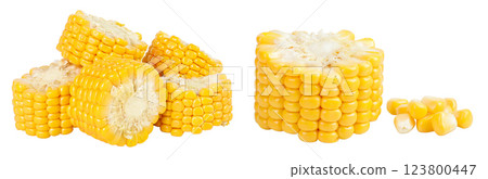 ear of corn isolated on a white background with full depth of field ear of corn isolated on a white background with full depth of field 123800447