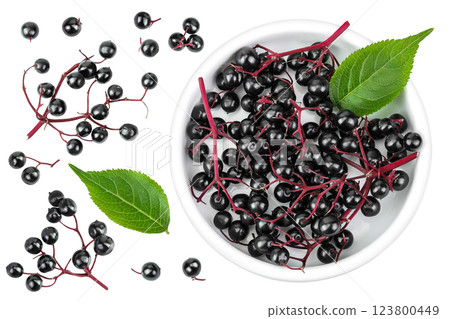 Ripe black elderberry or elder with green leaves in ceramic bowl isolated on a white background. Sambucus Ripe black elderberry or elder with green leaves in ceramic bowl isolated on a white background. Sambucus 123800449