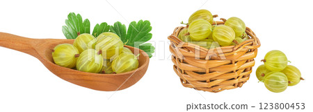 Green gooseberry in wooden spoon and wicker basket isolated on white background with full depth of field 123800453