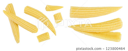 Pickled young baby corn cobs isolated on white background. Top view. Flat lay 123800464
