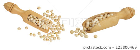 Sorghum seeds in wooden scoop isolated on white background. Top view. Flat lay. Sorghum seeds in wooden scoop isolated on white background. Top view. Flat lay. 123800469