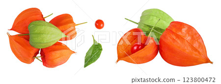 Cape gooseberry, physalis isolated on white background with full depth of field. Top view. Flat lay 123800472