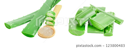 Aloe vera sliced in wooden spoon isolated on white background with  full depth of field 123800483