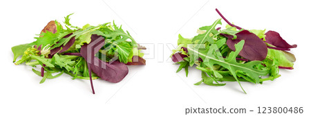 Mix of different salads isolated on white background 123800486