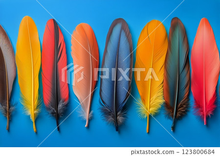 Colorful Feathers Arranged in a Row on a Bright Blue Background Colorful Feathers Arranged in a Row on a Bright Blue Background 123800684