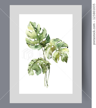 Petals of monstera houseplant growing in hot climates on wall art. Watercolor artwork 123801035