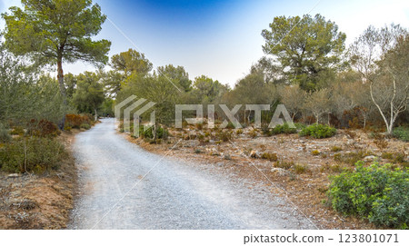 Peninsula de Llevant Natural Park, Spain Peninsula de Llevant Natural Park, Spain 123801071