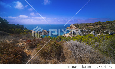 Cala S'Almunia, Spain Cala S'Almunia, Spain 123801079