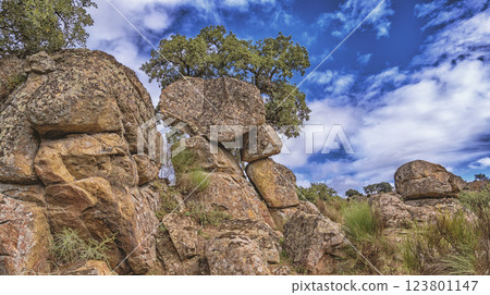 Protected Landscape Monte Valcorchero y Sierra del Gordo, Caceres, Spain 123801147