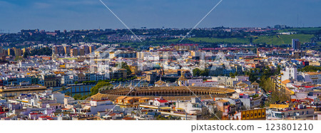Seville Panoramic Cityview from Seville Cathedral, Spain 123801210