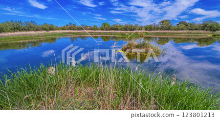 Tablas de Daimiel National Park, Spain 123801213