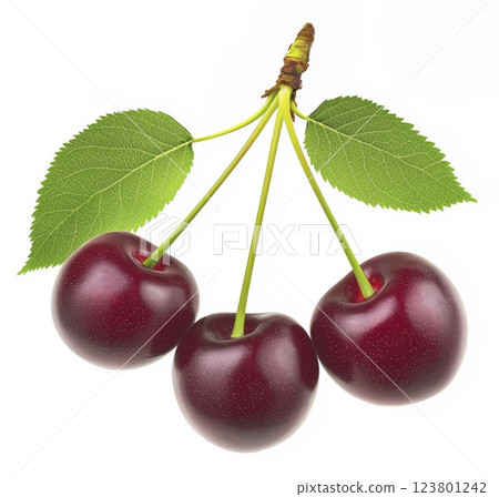 Three ripe cherries with green leaves isolated on white background with clipping path Three ripe cherries with green leaves isolated on white background with clipping path 123801242
