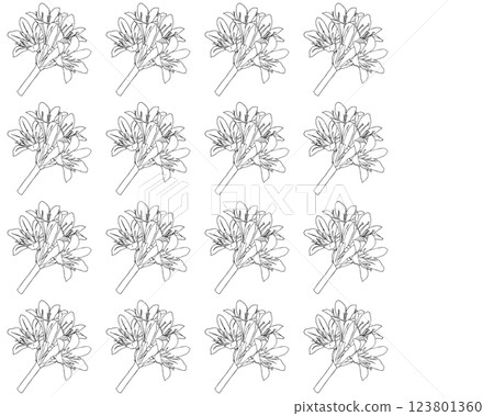 Graceful lily flowers. Doodle style. Vector illustration. Seamless pattern. 123801360