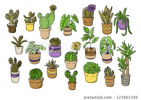 Colorful hand drawn illustration with a variety of potted houseplants, including succulents, cacti, and leafy greens in decorative pots Colorful hand drawn illustration with a variety of potted houseplants, including succulents, cacti, and leafy greens in decorative pots 123801389