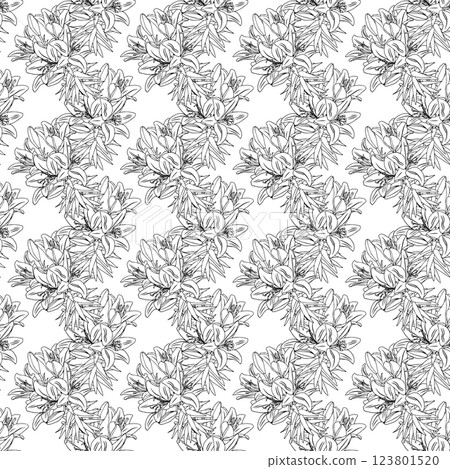 Graceful lily flowers. Doodle style. Vector illustration. Seamless pattern. 123801520