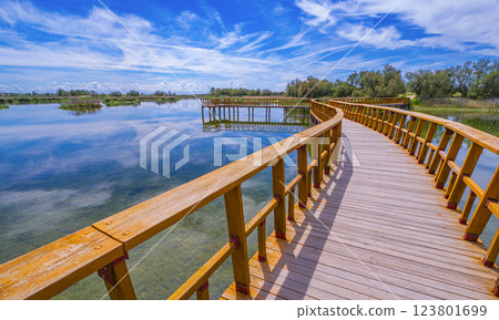 Tablas de Daimiel National Park, Spain 123801699