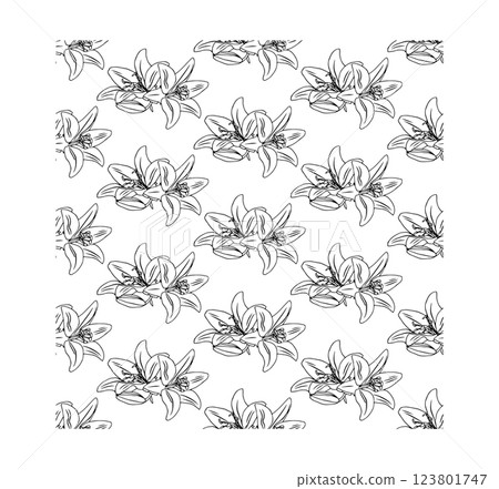 Graceful lily flowers. Doodle style. Vector illustration. Seamless pattern. 123801747