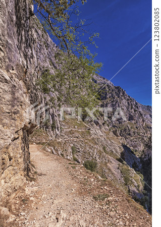 Ruta del Cares, Spain 123802085