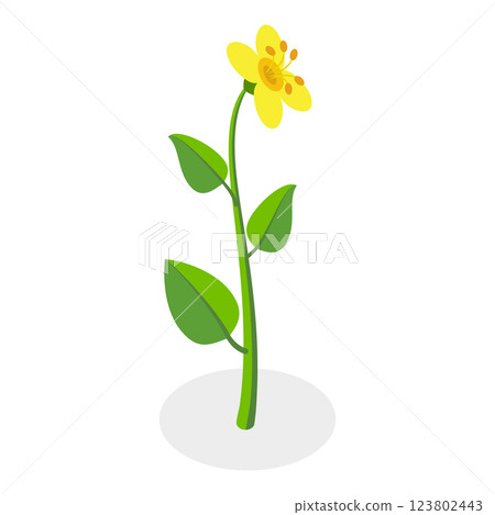 3D Isometric Flat  Illustration of Flowers Collection. Item 12 123802443