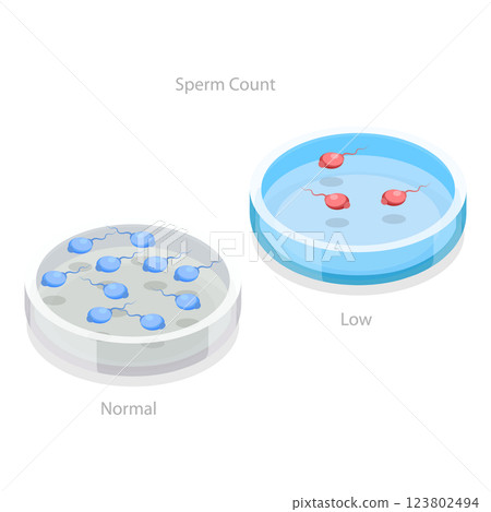 3D Isometric Flat  Illustration of Male Fertility. Item 3 123802494