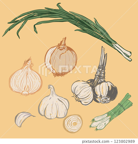 Vector vegetable doodle set of garlic and onion. Hand-drawn garden harvest sketch with vintage texture. Organic farm graphics. Tasty food for design, veggie market drawing print, fabric, background. Vector vegetable doodle set of garlic and onion. Hand-drawn garden harvest sketch with vintage texture. Organic farm graphics. Tasty food for design, veggie market drawing print, fabric, background. 123802989