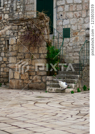 Typical stone houses in the village of Satari Grad, island of Hvar. Typical stone houses in the village of Satari Grad, island of Hvar. 123803039