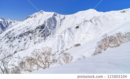 谷川雪景 - 從天神山脊遠眺的絕美景色 123803104