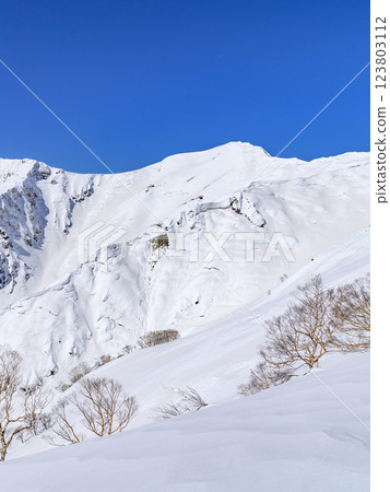 Snowy scenery of Mt. Tanigawa - A spectacular view from Tenjin Ridge 123803112