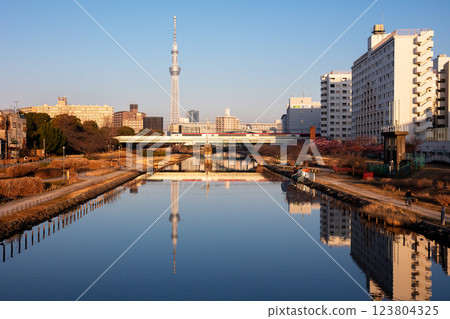 [Kawazu Cherry Blossoms] Early morning view of the Kyu-Nakagawa River, early-blooming cherry blossoms, and the Narita Express 123804325