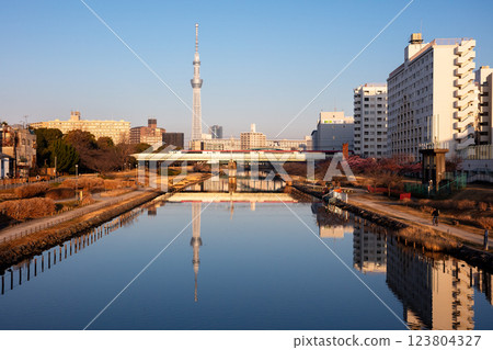 [Kawazu Cherry Blossoms] Early morning view of the Kyu-Nakagawa River, early-blooming cherry blossoms, and the Narita Express 123804327