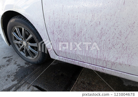 Iron powder adhering to the body of a car is being removed with detergent. 123804678