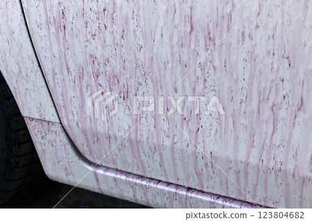 用清潔劑清除附著在車身的鐵粉。 123804682