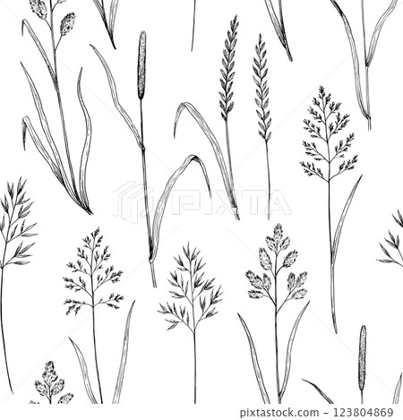 Seamless pattern with meadow grass. Ink drawing of wild cereals.  123804869