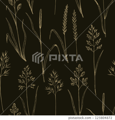 Seamless pattern with meadow grass. Ink drawing of wild cereals.  123804872