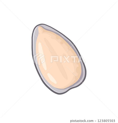 Cartoon seed. Organic raw sunflower seeds, pumpkin seeds and pine nuts, tasty snacks for vegetarian diet flat vector illustration icon. Delicious seed on white Cartoon seed. Organic raw sunflower seeds, pumpkin seeds and pine nuts, tasty snacks for vegetarian diet flat vector illustration icon. Delicious seed on white 123805503