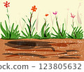 illustrated, illustration, 2dcg illustration 123805632