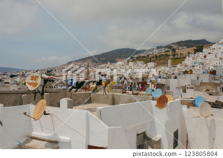 General view of the skyline of Tetouan and the medina General view of the skyline of Tetouan and the medina 123805804
