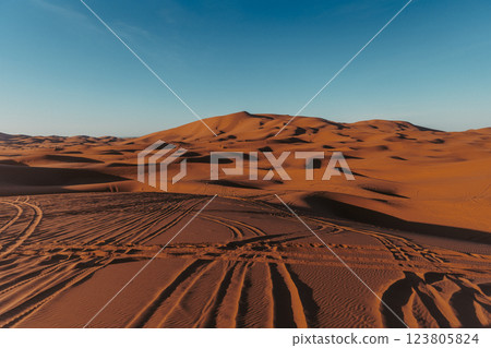 Sand dunes in the Sahara Desert, Merzouga, Morocco Sand dunes in the Sahara Desert, Merzouga, Morocco 123805824